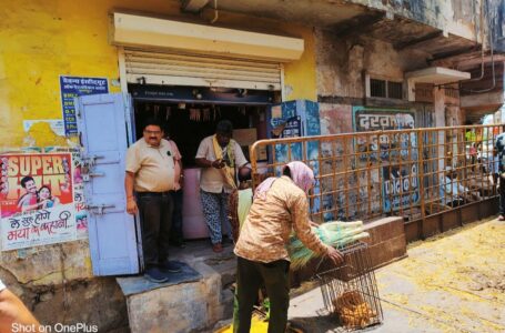 न्यायलय के आदेश के बाद एक्शन में आया निगम,जीर्ण शीर्ण भवन में संचालित दुकान को खाली करवाकर किया सील