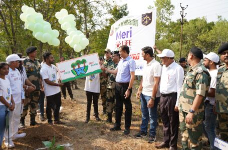 विश्व पर्यावरण दिवस पर दुर्ग वन मंडल का जिला स्तरीय रैली एवं पौधारोपण कार्यक्रम